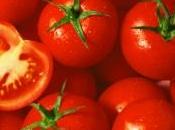 tomate juteuse vente Royaume-Uni
