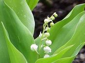 Cadeau pour jolies lectrices gentils lecteurs