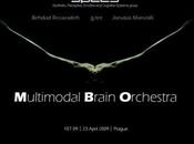 Multimodal brain orchestra