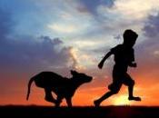 chien d''assistance pour enfant autiste