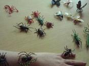 Invasion d'insectes