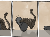 aventures Paka Episode 1072