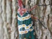 Encore drôle bestiole!...