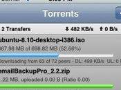 Store applis contrôle BitTorrent