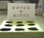 chasse-taupes avec chatons