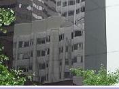 Gogh Charlélie Couture.