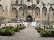 Magnificènci jardin medievalo Magnificence jardins médiévaux medieval gardens