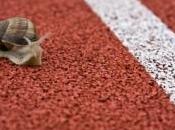 ans, tente battre record plus grand nombre d'escargots visage, images