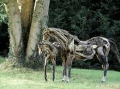 Sculptures bois flott&#233; HEATHER JANSCH