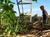 Vous vous f...tez, mais c'est joli.