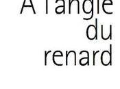 l'angle renard Fabienne Juhel