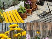 Végétation arrangée spontannée