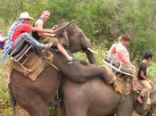 Halte tourisme sexuel