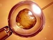 Hausse recours procréation médicalement assistée