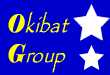 Quel avenir pour Okibat Group Sarl?
