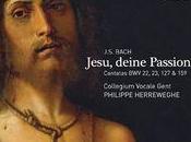 Jesu, deine Passion Philippe Herreweghe subtil équilibre belles nuances