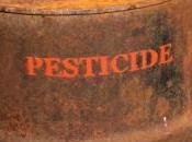 traces pesticides dans urines femmes enceintes