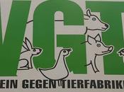 Elevage cochons batterie: procédure réouverture d’une instance nationale (exécution juin 2009 CEDH octobre 2007, Verein gegen Tierfabriken (VgT) Suisse)