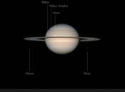 superbe Saturne Alan Friedman