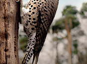 nature besoin notre vieille perceuse