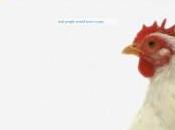 Plumping Foster Farms