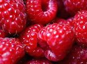 Traduction fruits rouges anglais