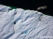 Greenpeace arctique Groenland fond