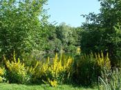Parc Gayeulles Rennes