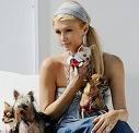 Paris Hilton dépense 325.00 pour chiens