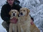 Chiens dangereux l'importance l'éducation