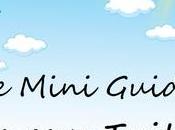 eBook Gratuit Mini Guide pour Twitter” ConseilsMarketing.fr