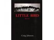 Craig Johnson Little Bird
