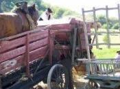 Trotté metiers d'autrefois samedi août 2009