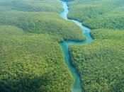 Déforestation Amazonie c’est comme crise, vient