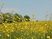 Bonnes vacances tous