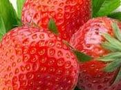 Tiramisu fraises...testé approuvé