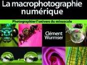 macrophotographie numérique Clément Wurmser