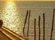 Stage photo l’Ile d’Oléron octobre 2009