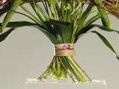 Coupe Espoir Départementale Interflora Mayenne