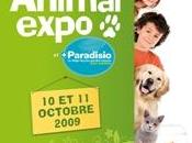 Venez nombreux Animal Expo octobre