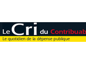 Proposition iconoclaste réforme collectivités locales pour cri"