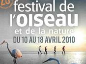 Concours Photo Festival l’Oiseau Nature 2010