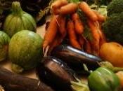 Premier panier produits l'automne