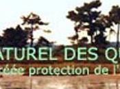 Petition contre deforestation foret coulin andernos relaye