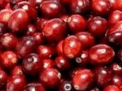 plein recettes base cranberries