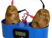 Horloge patates