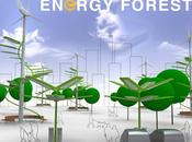 foret artificielle l’energie renouvelable