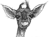 HADOPI aujourd’hui boycotte industries culturelles