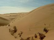 démocratisation Cachemire