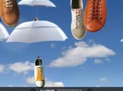 Camper reinvent your reality